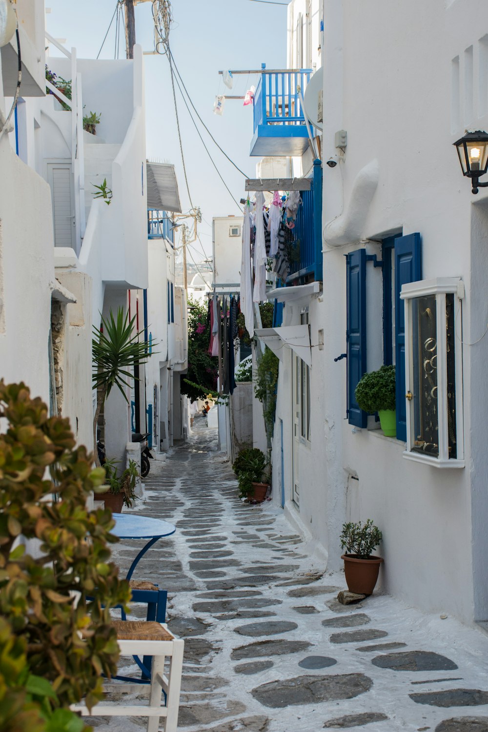 white painted houses