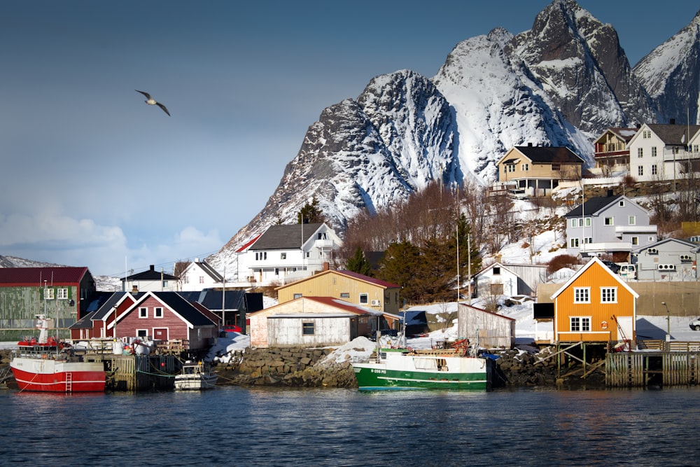 houses near mountain