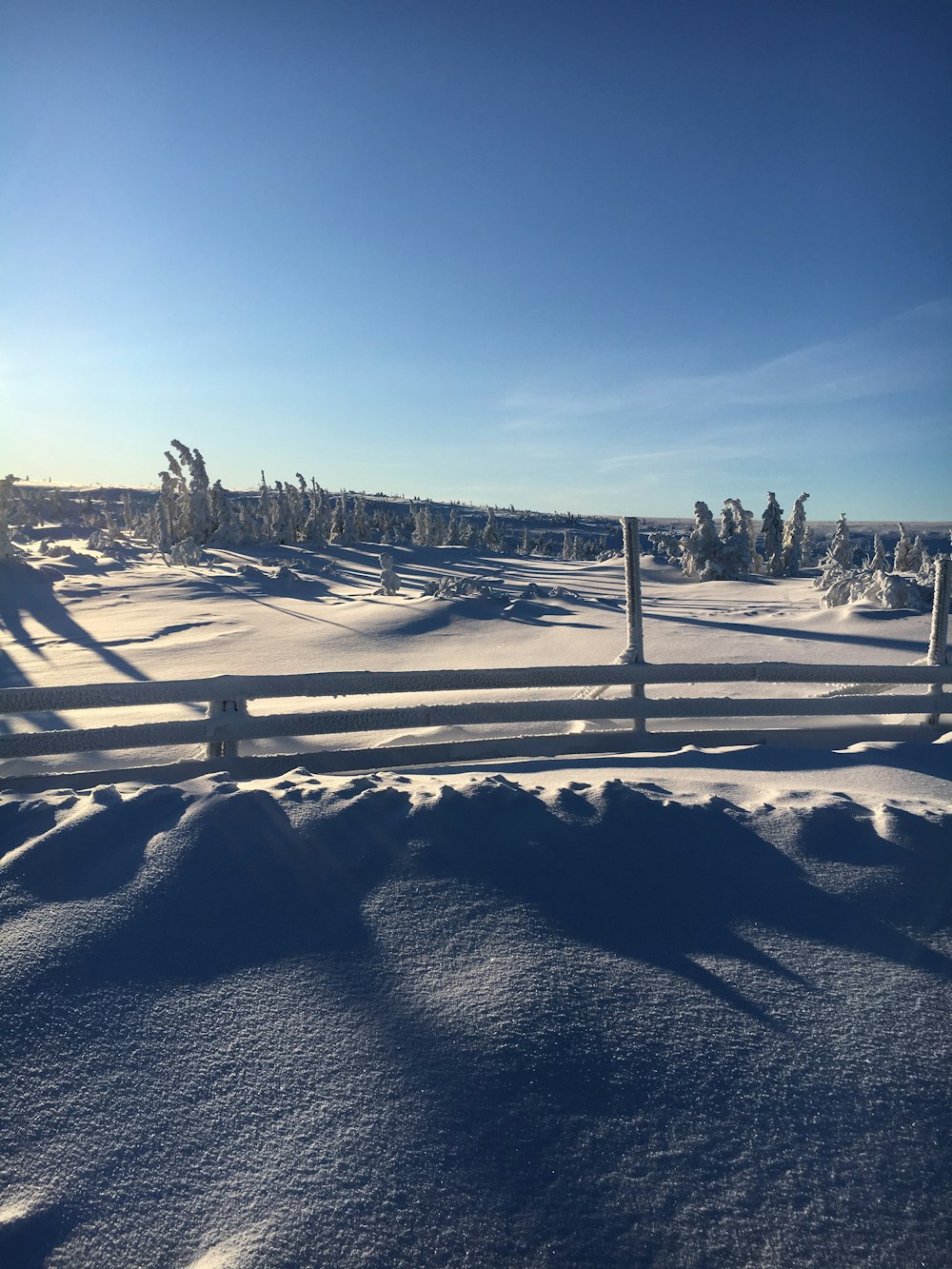 área coberta de neve