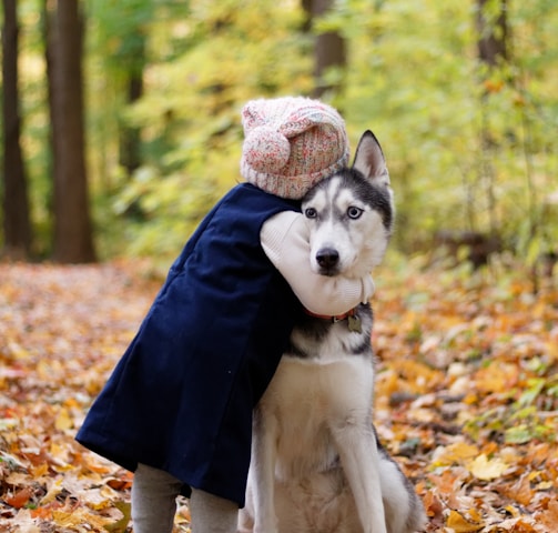 toddler hugging siberian husky