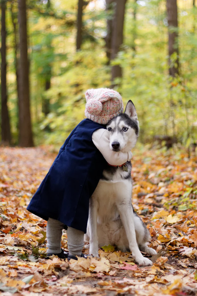 Child hugging a Siberian husky