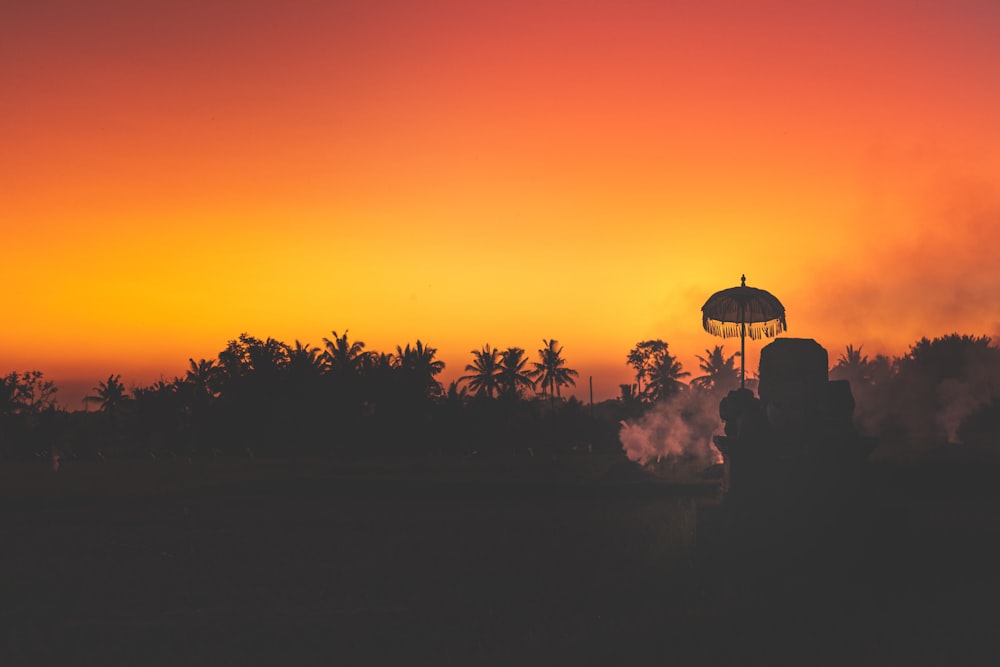 silhouette of trees