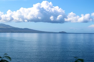 A serene ocean scene with clear blue water stretching towards the horizon. Puffy white clouds hover in a bright blue sky above a distant coastline. The peaceful atmosphere is enhanced by the gentle ripples on the surface of the water.