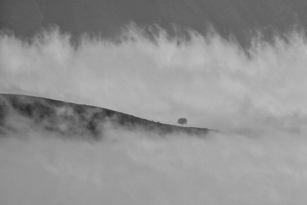 a lone tree on top of a hill covered in clouds