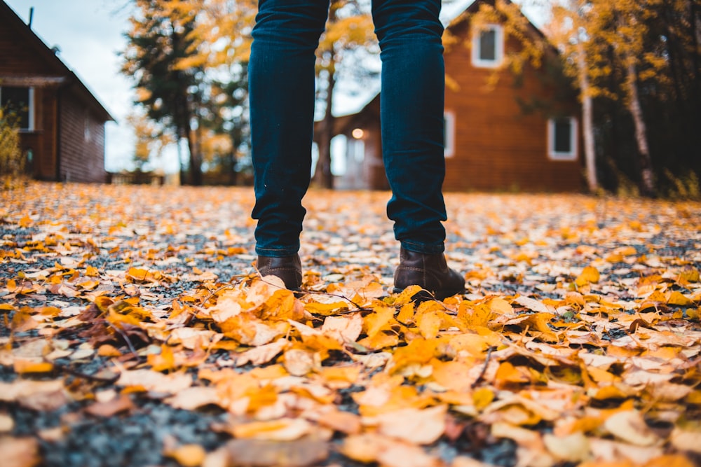 pessoa em pé na estrada cinzenta com folhas