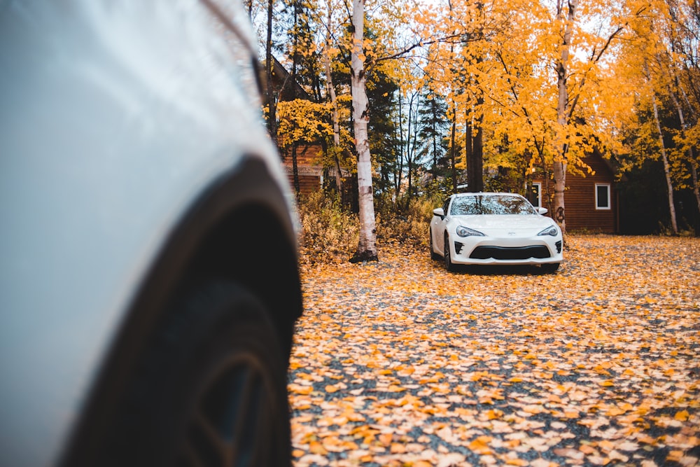 white coupe parked under brown trees