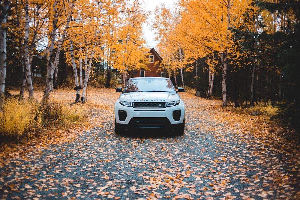 white Land Rover