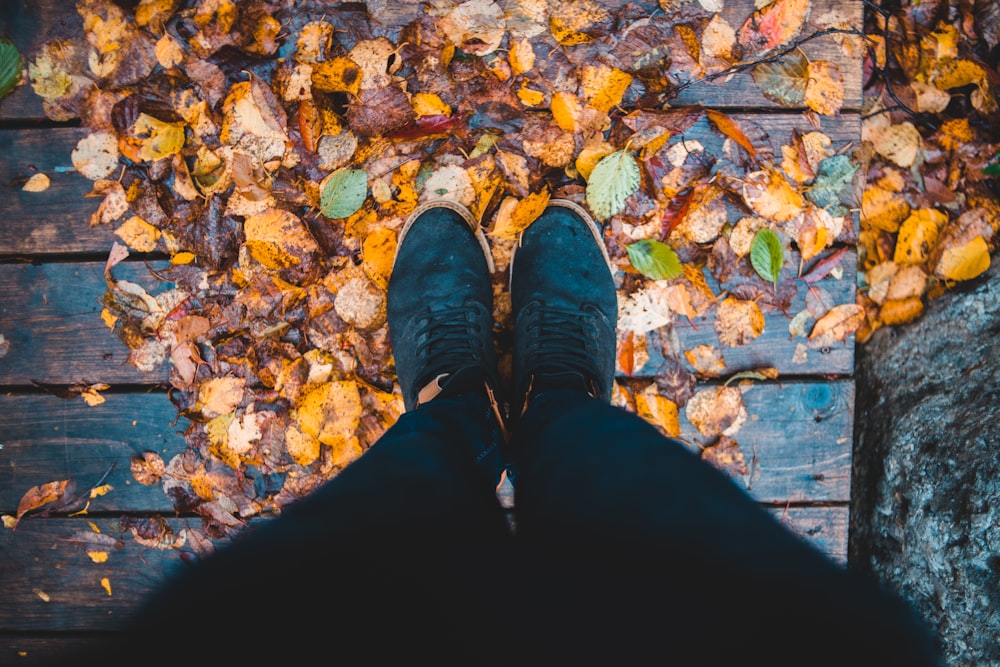 person standing on dried leaves