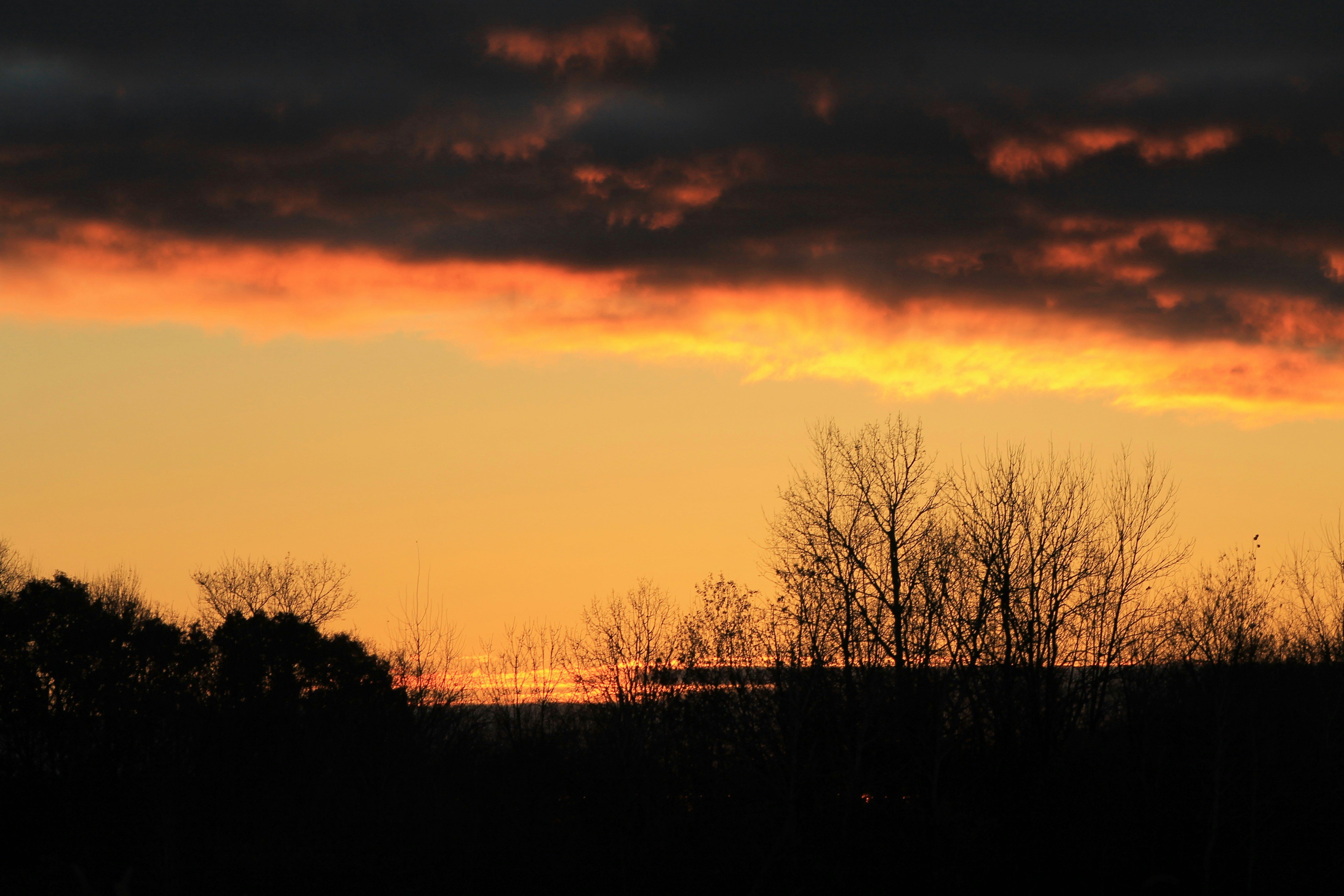 Photo by joyflowerphotography