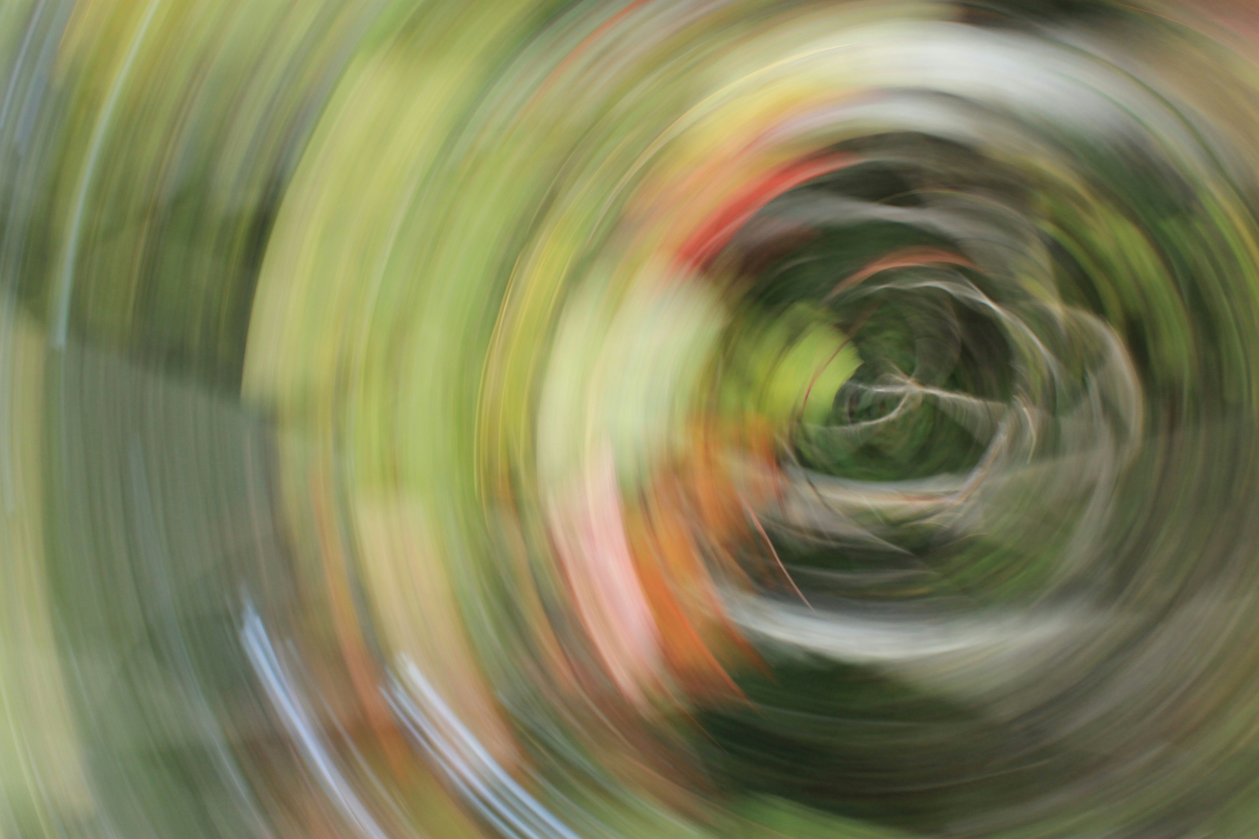 The Hidden Cancer Prevention Power of Your Grocery List