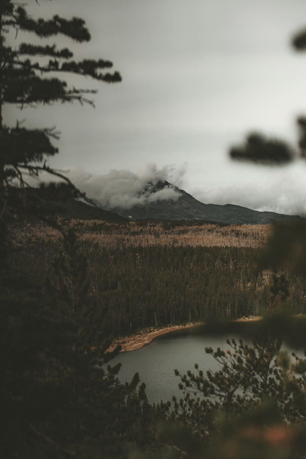 landscape photo of mountain and trees