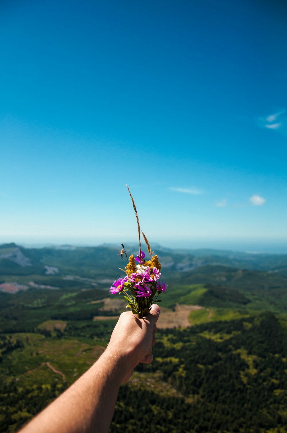 person holding pink and yellow flowers