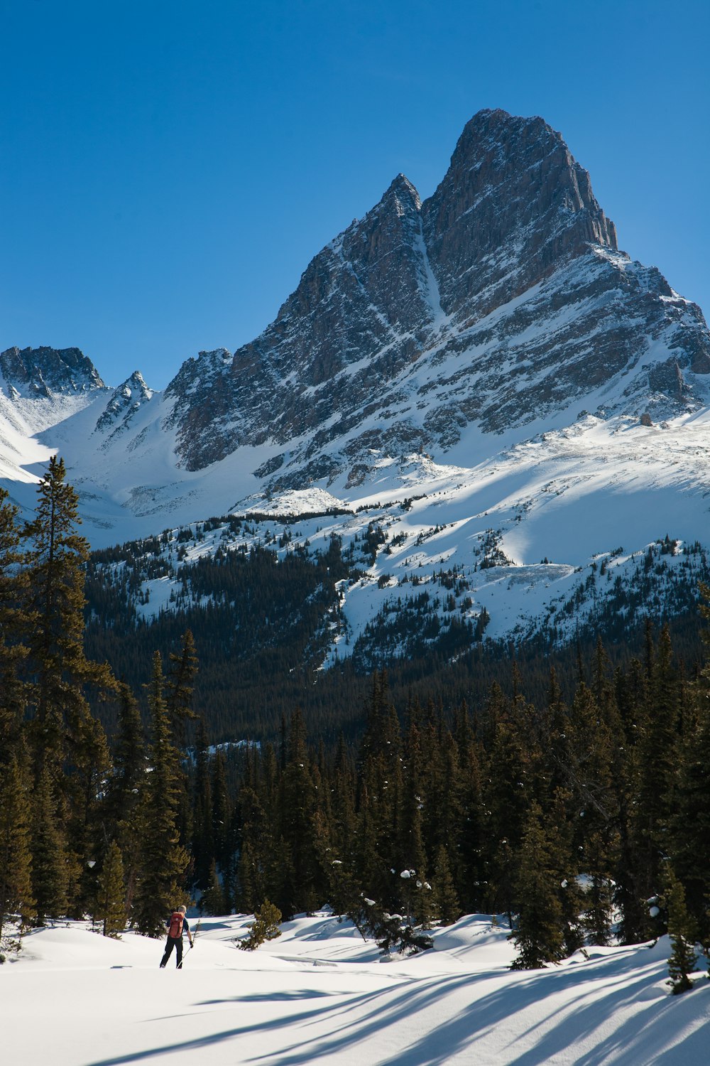 snow capped mountain