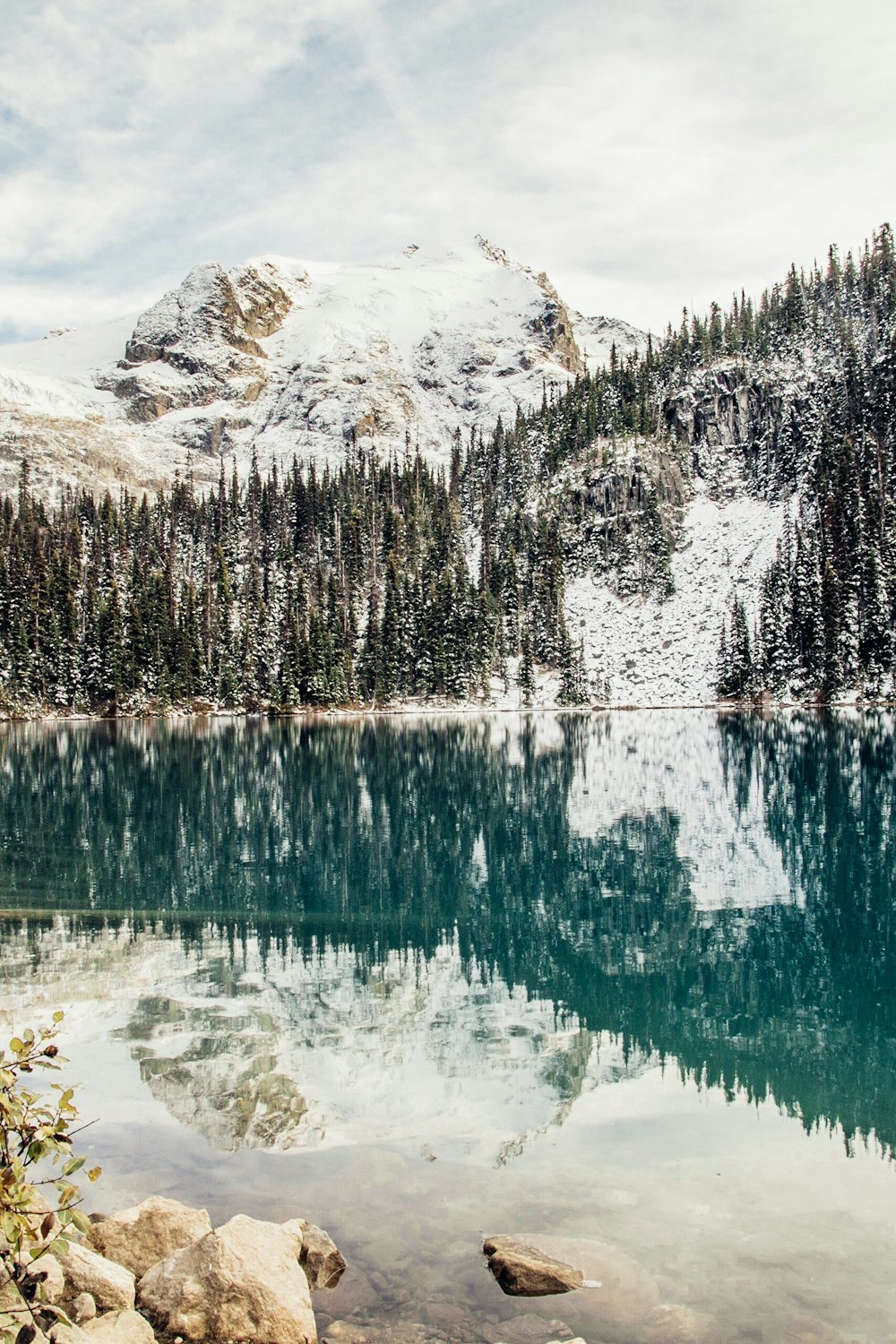 blue body of water surrounded by trees