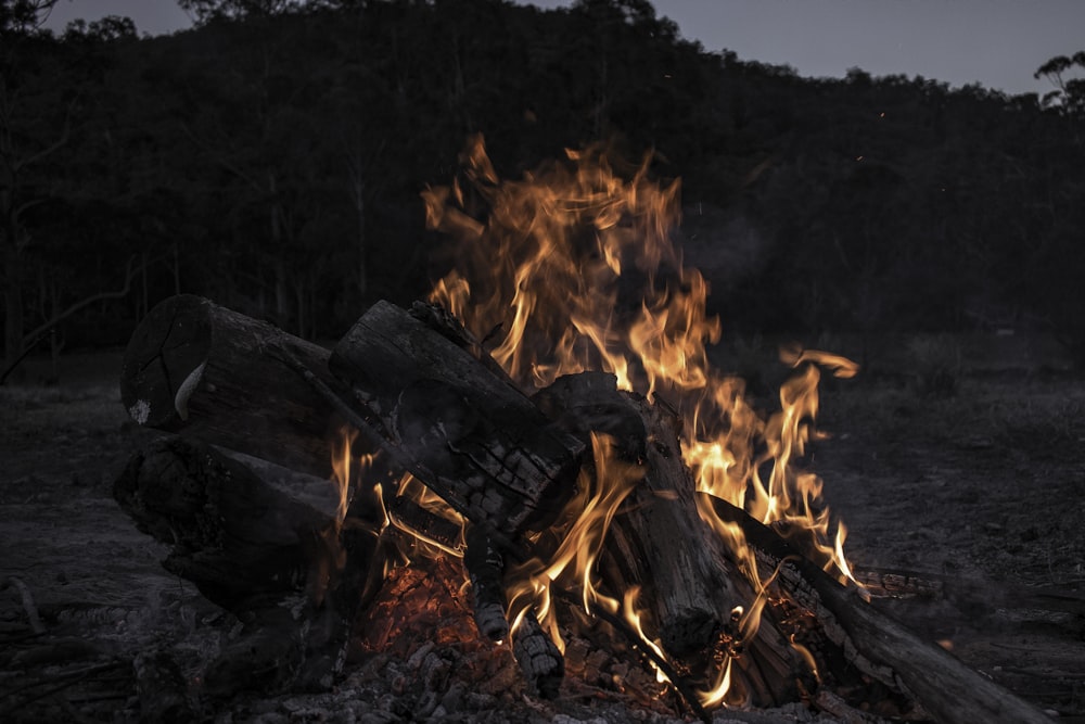 bonfire during daytime