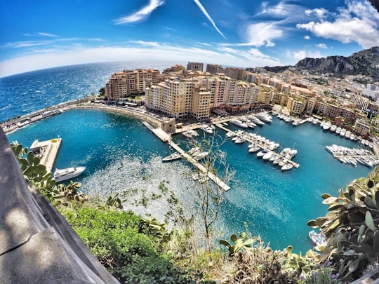 Port de Fontvieille things to do in Nice