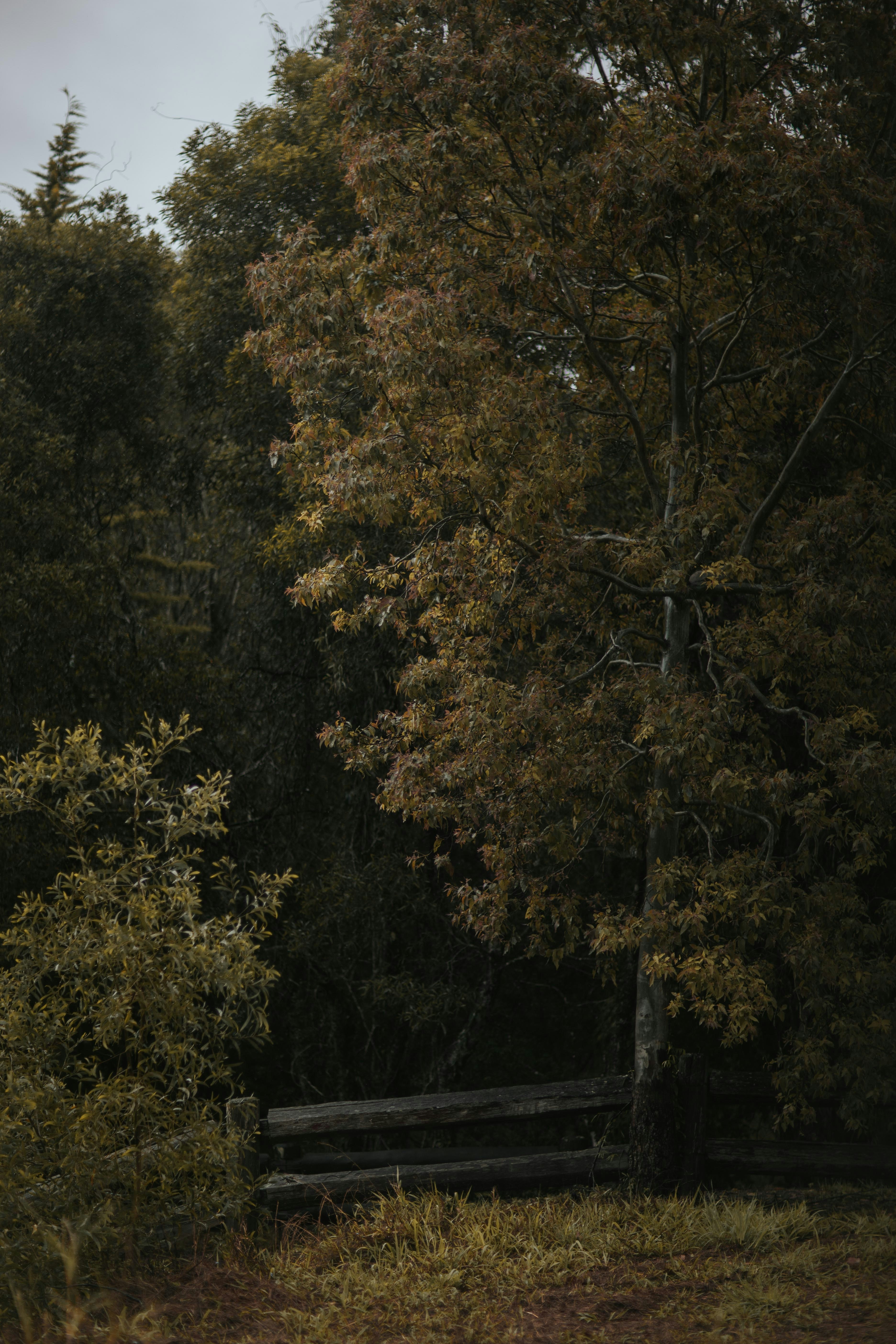 Photo by kyleunderscorehead