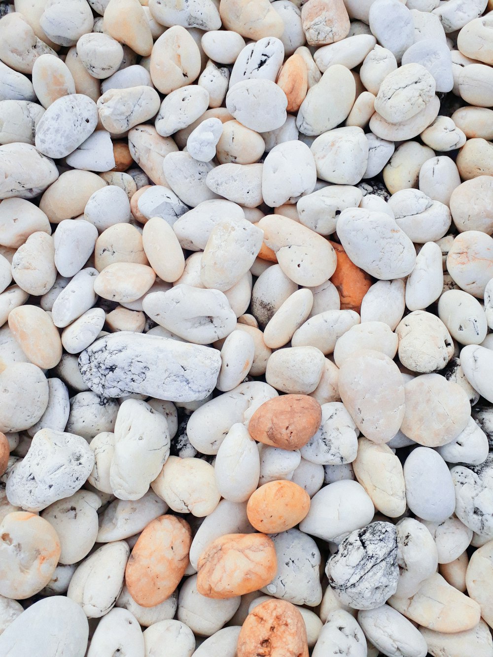 white and brown pebbles