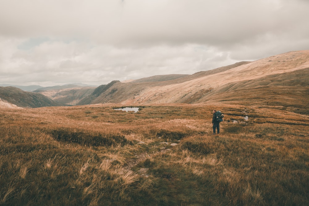 person standing on brown grass field