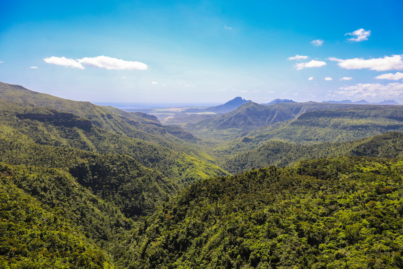 Black River Gorges