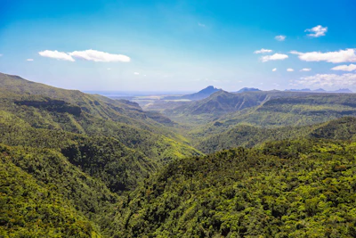 Black River Gorges
