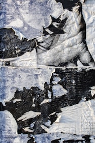 white and blue textile