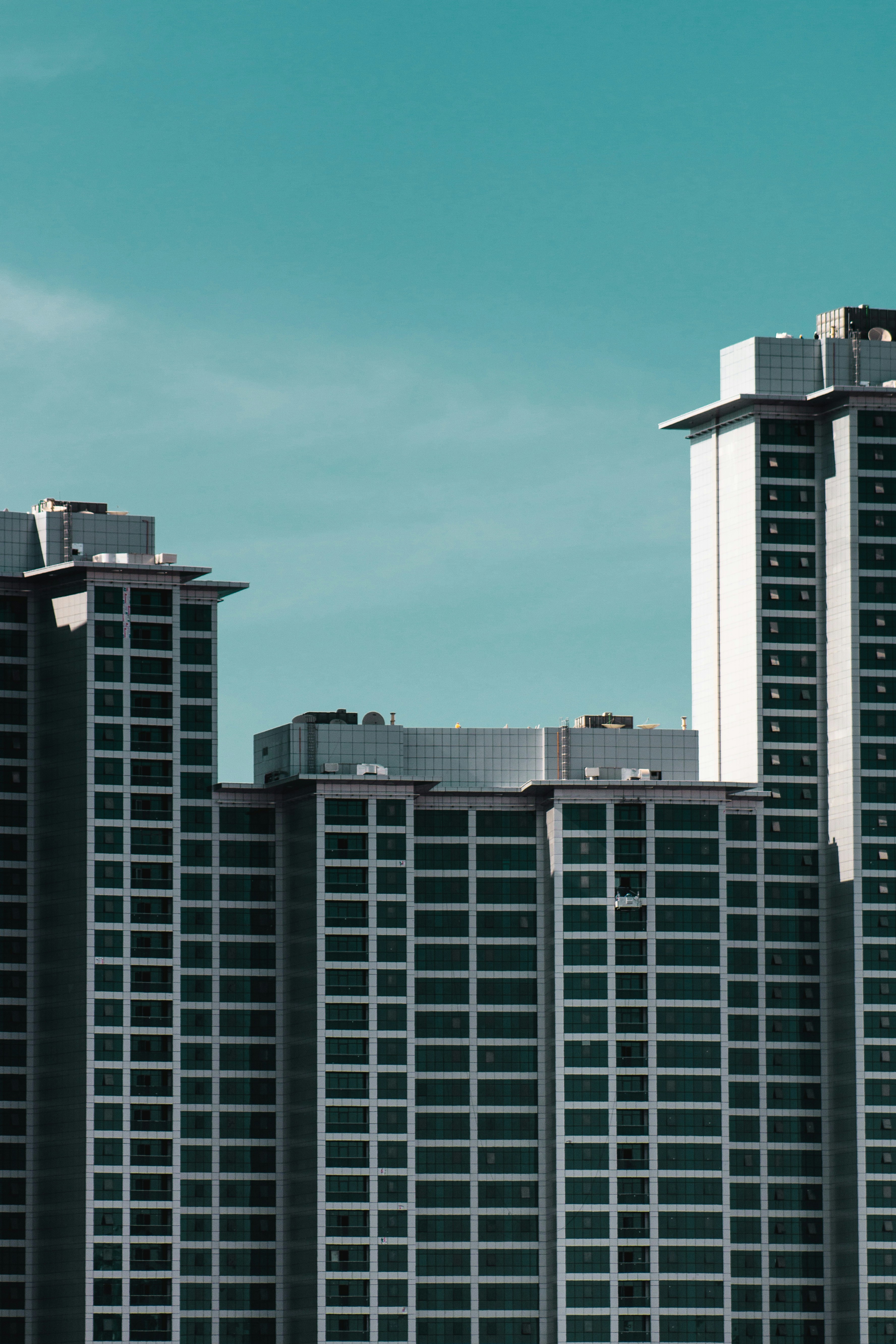 Photo by maplepharaoh