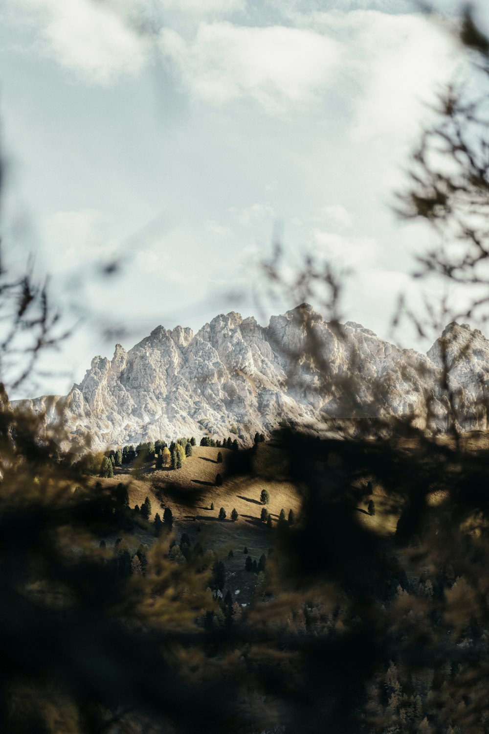 a view of a mountain range through the branches of a tree