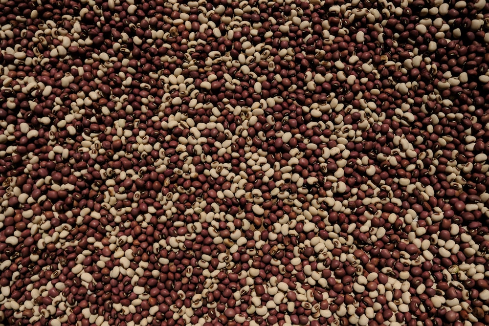 brown and beige seeds