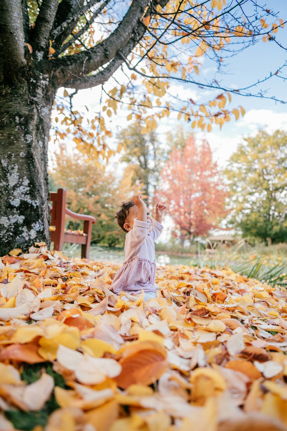 toddler playing leaves under yellow tree during daytime
