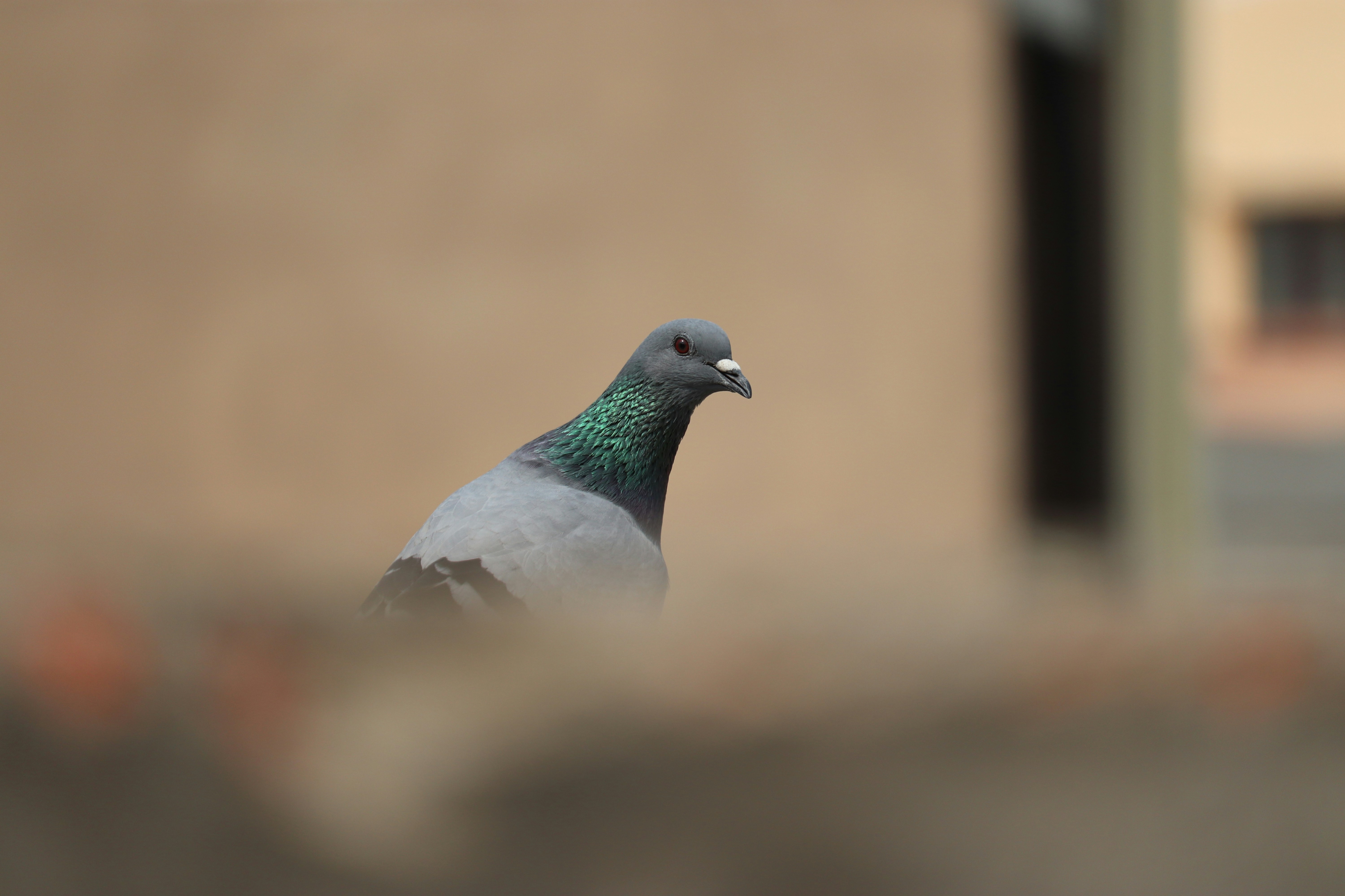 Photo by anudeep0905