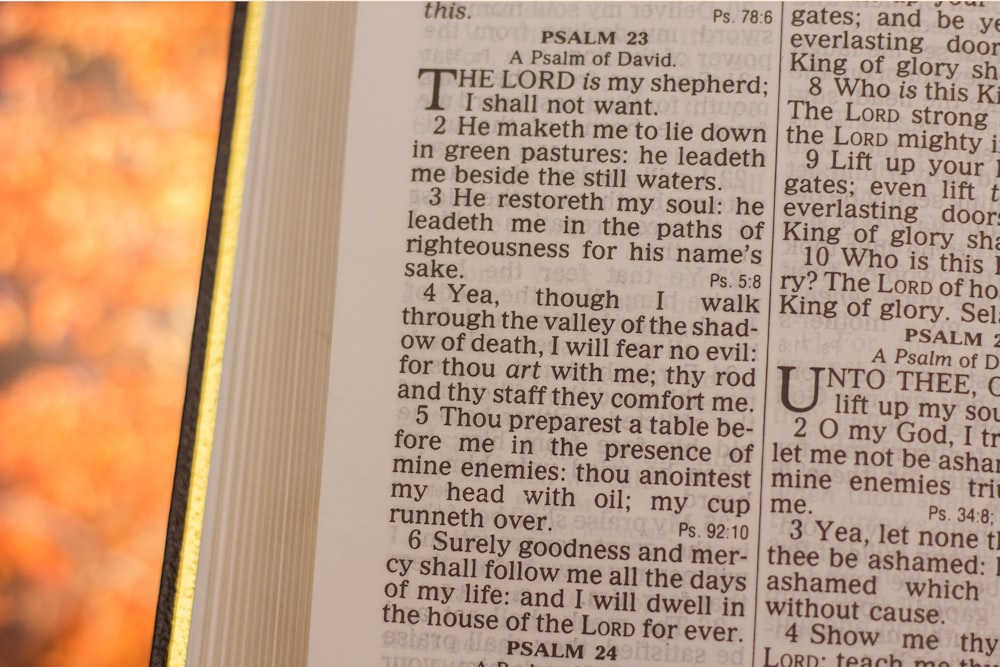 Salmo Capitolo Versetti 23 e 24