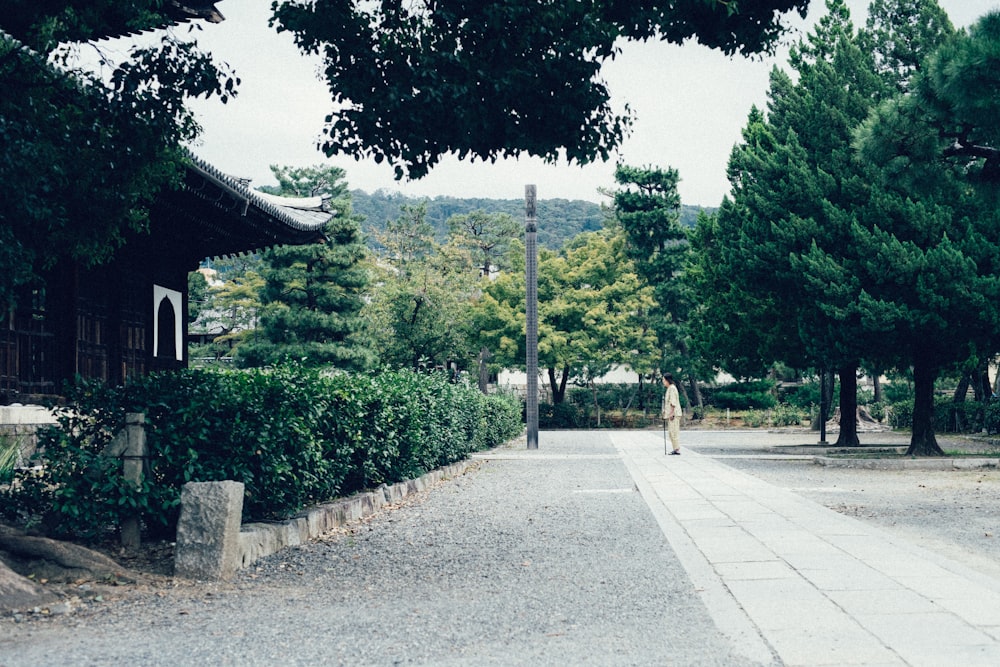 person standing on concrete walkway