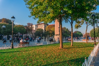 Community members planting trees together near a historic site under a clear blue sky.