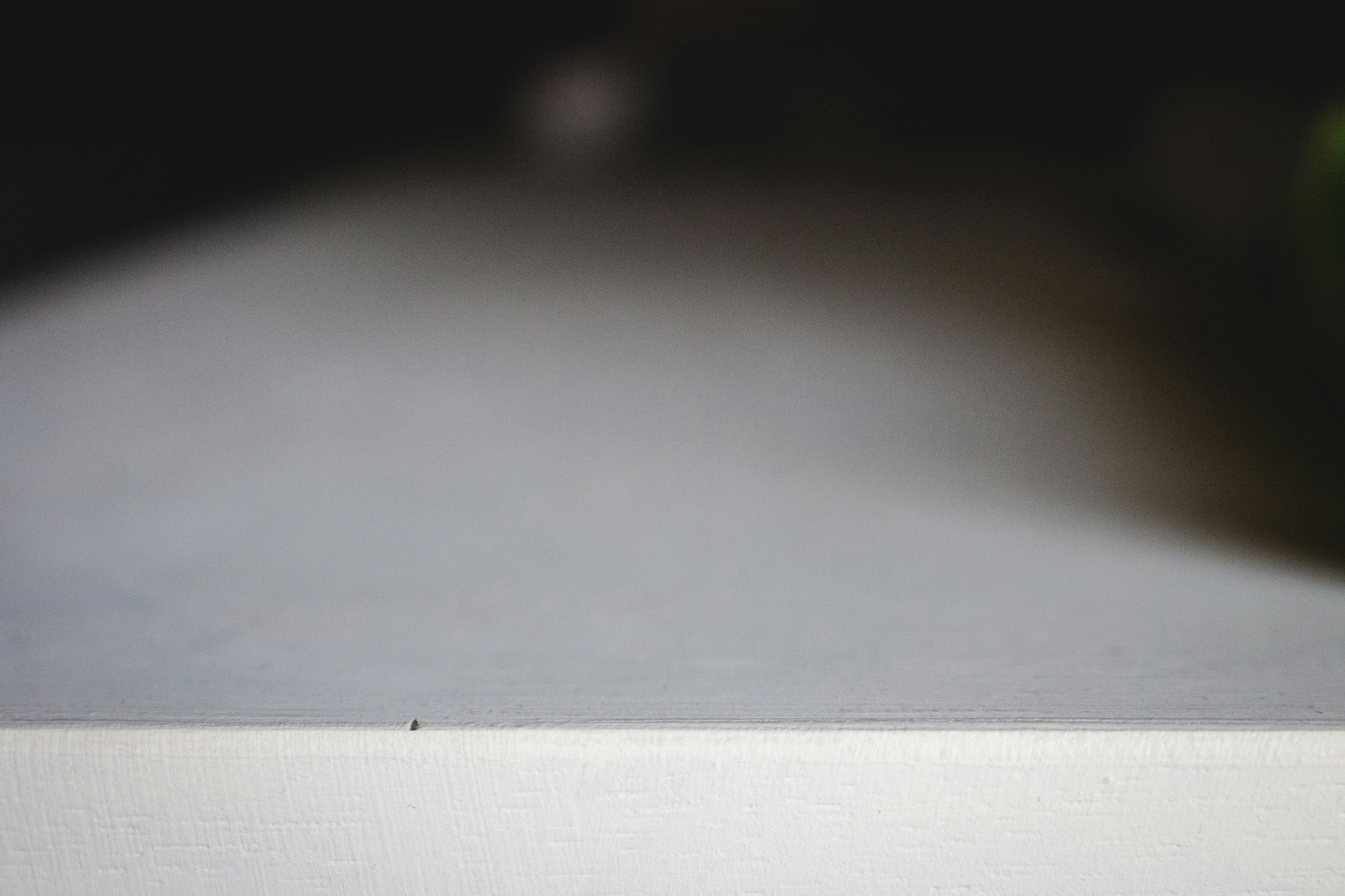 Photo by dallasreedy