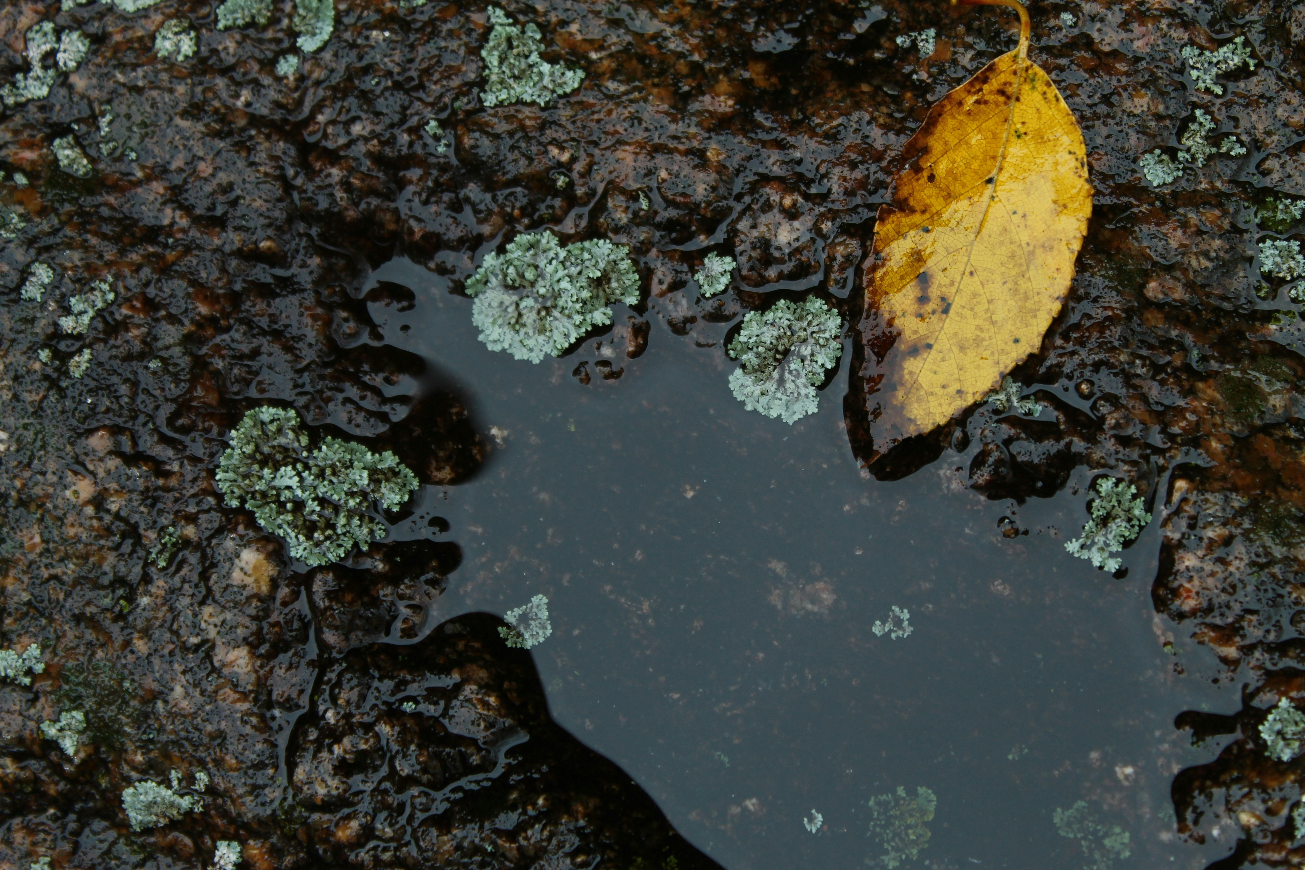 Photo by joyflowerphotography