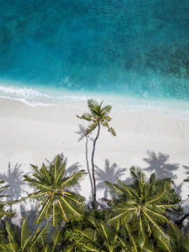 An aerial view of a pristine beach with turquoise waters and a travel creator filming.