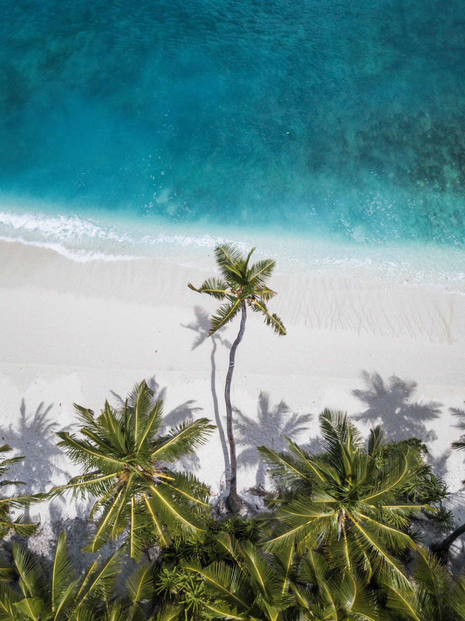 Great Barrier Reef landscape