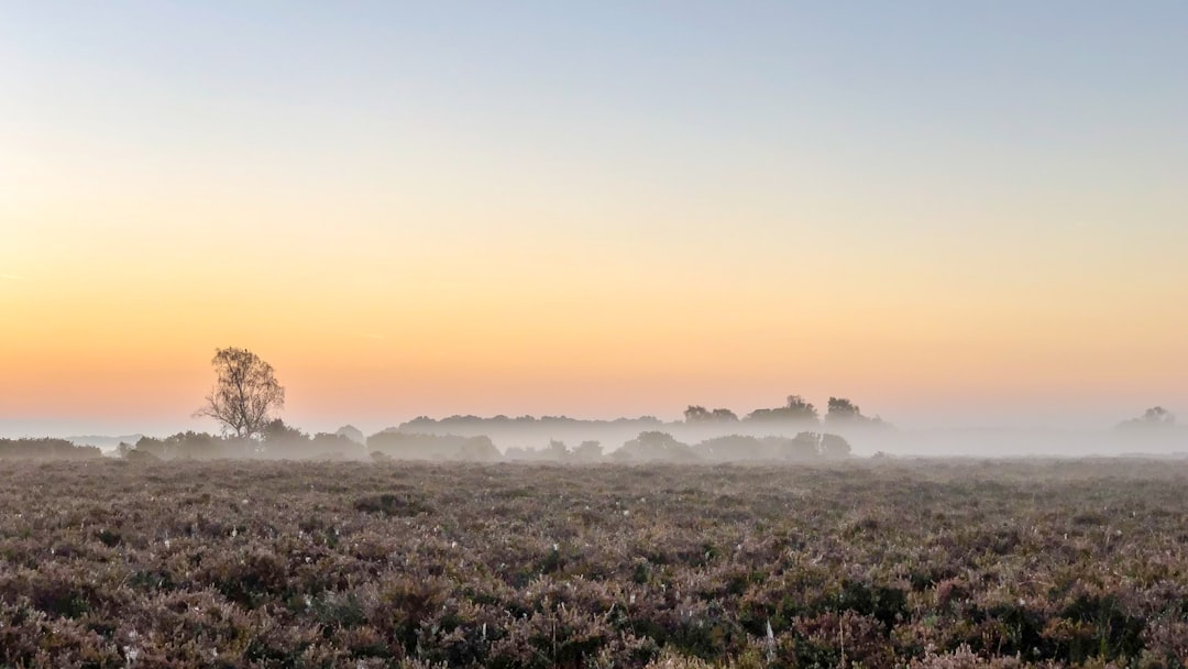 Plain photo spot New Forest National Park Swindon