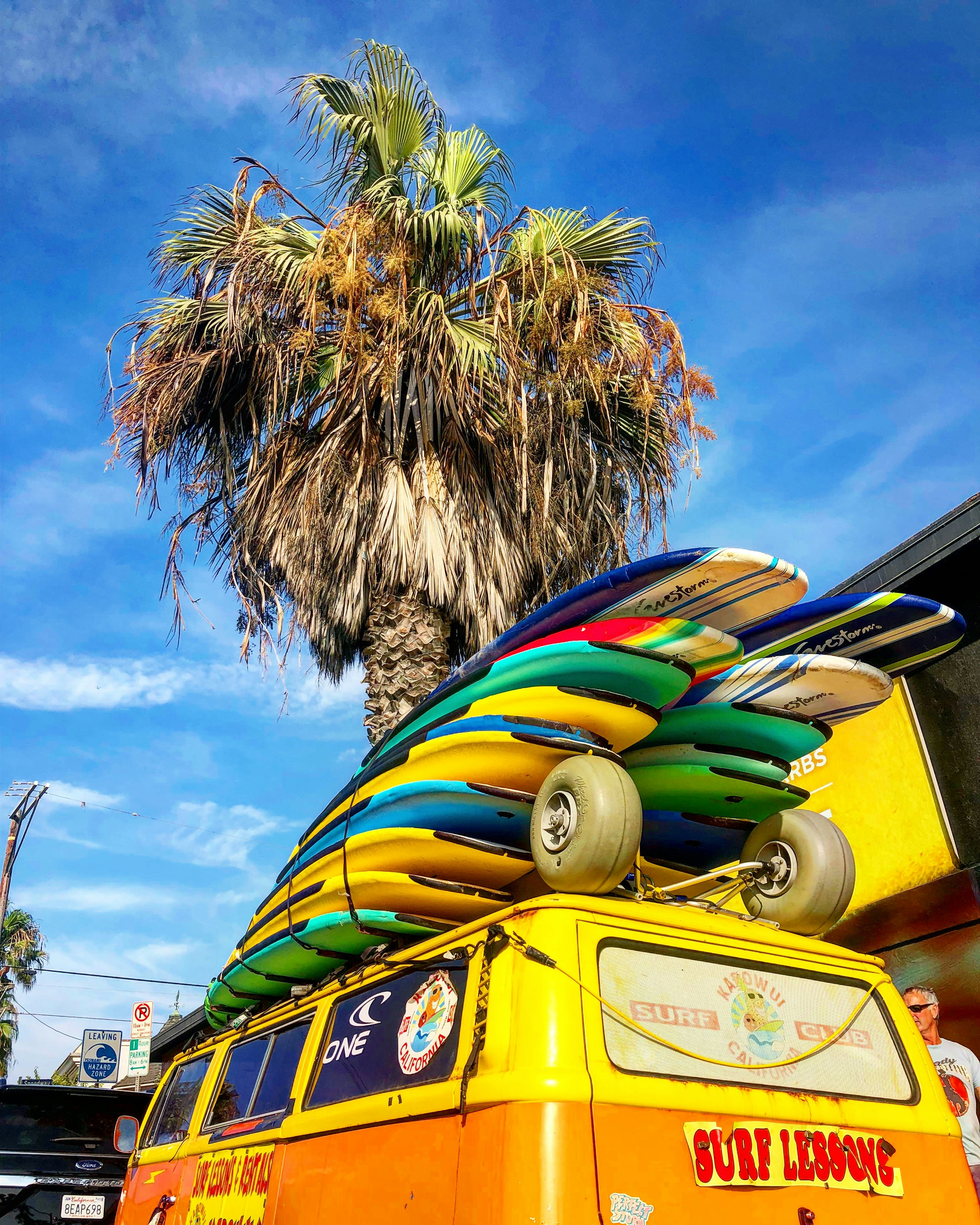 Montego Bay Adventure