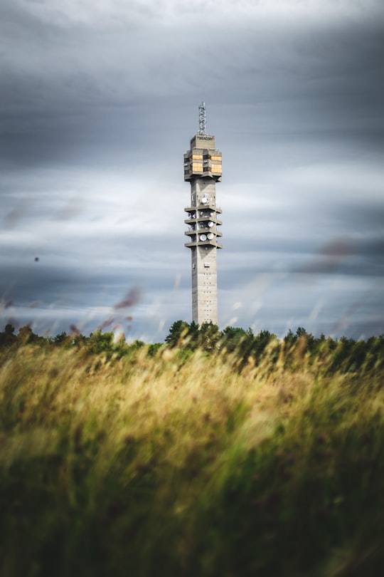 grass field and lighthouse in Kaknästornet Sweden