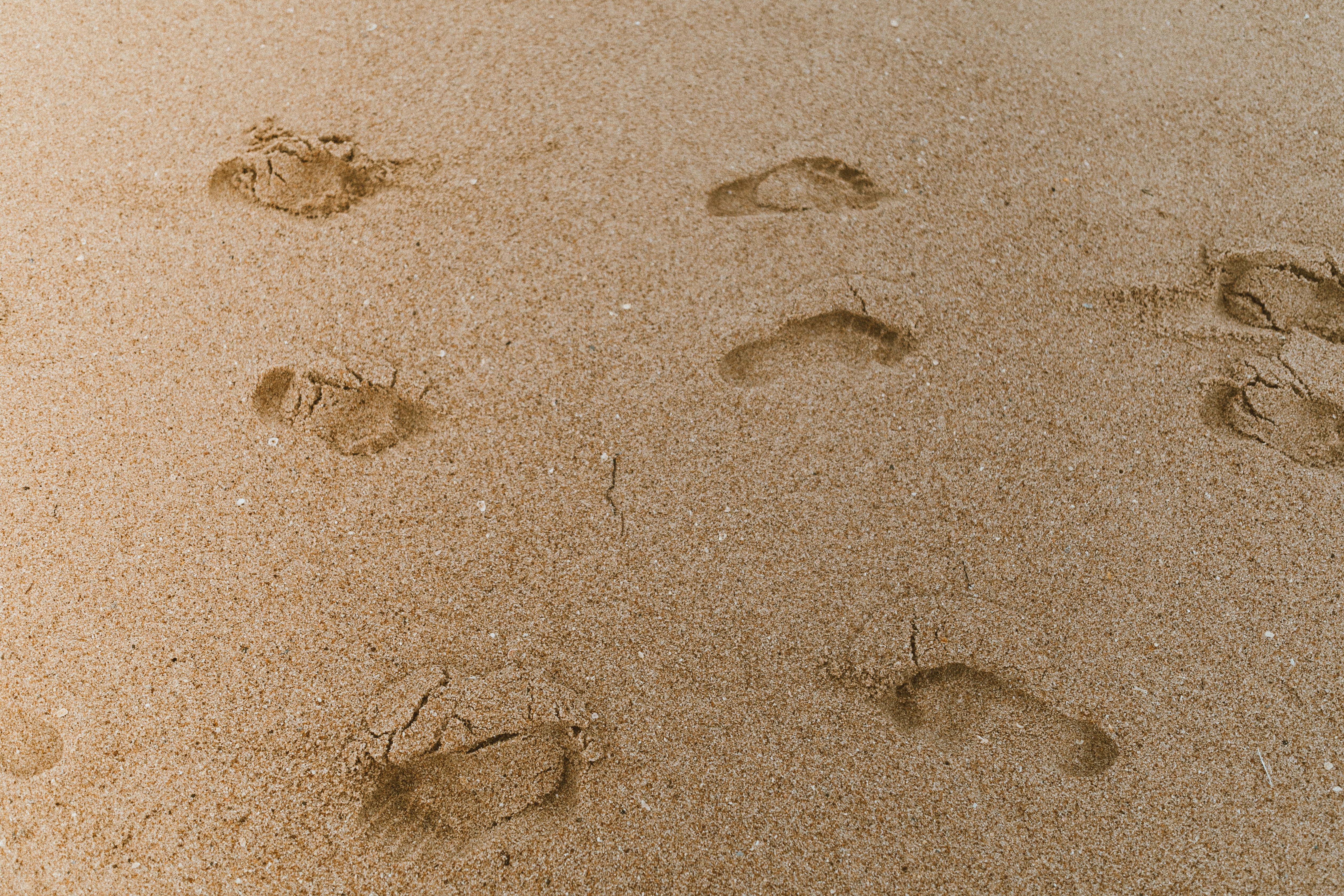 foot print seashore