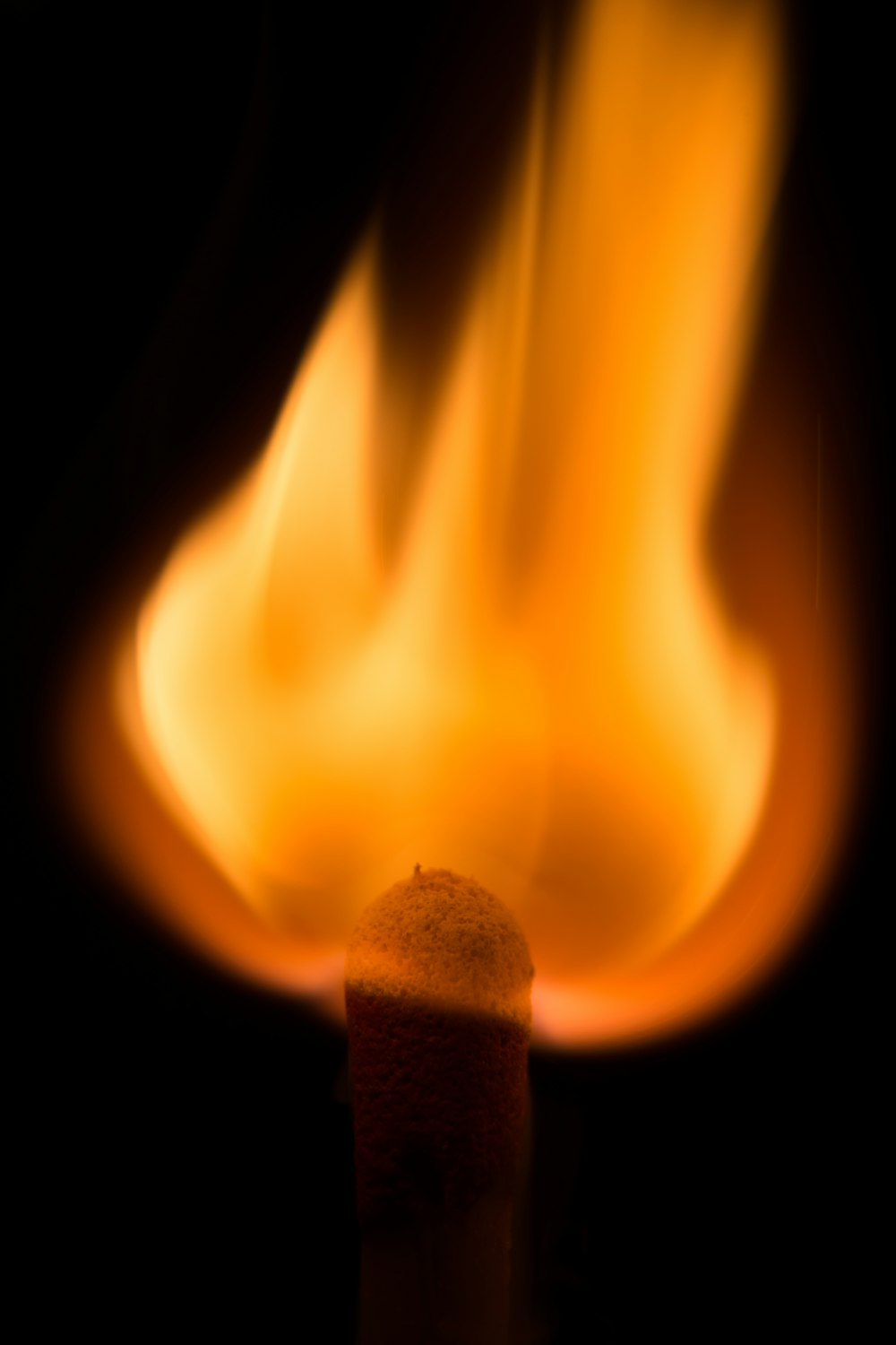 close-up photo of flame