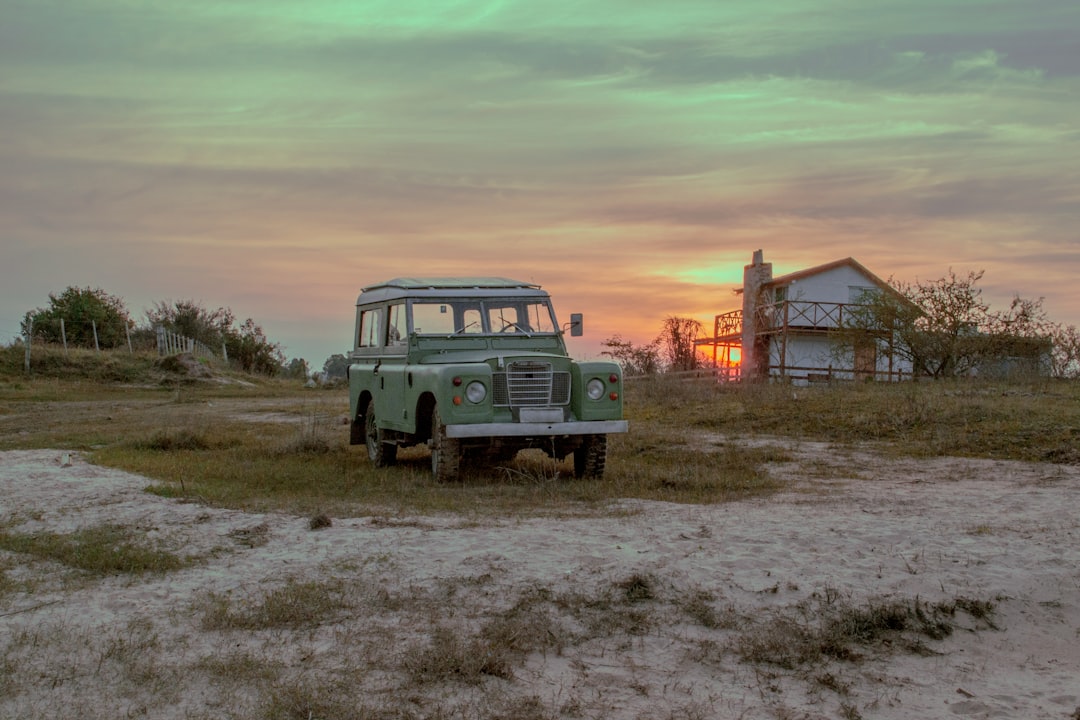 teal vehicle on green grass, Lost in green