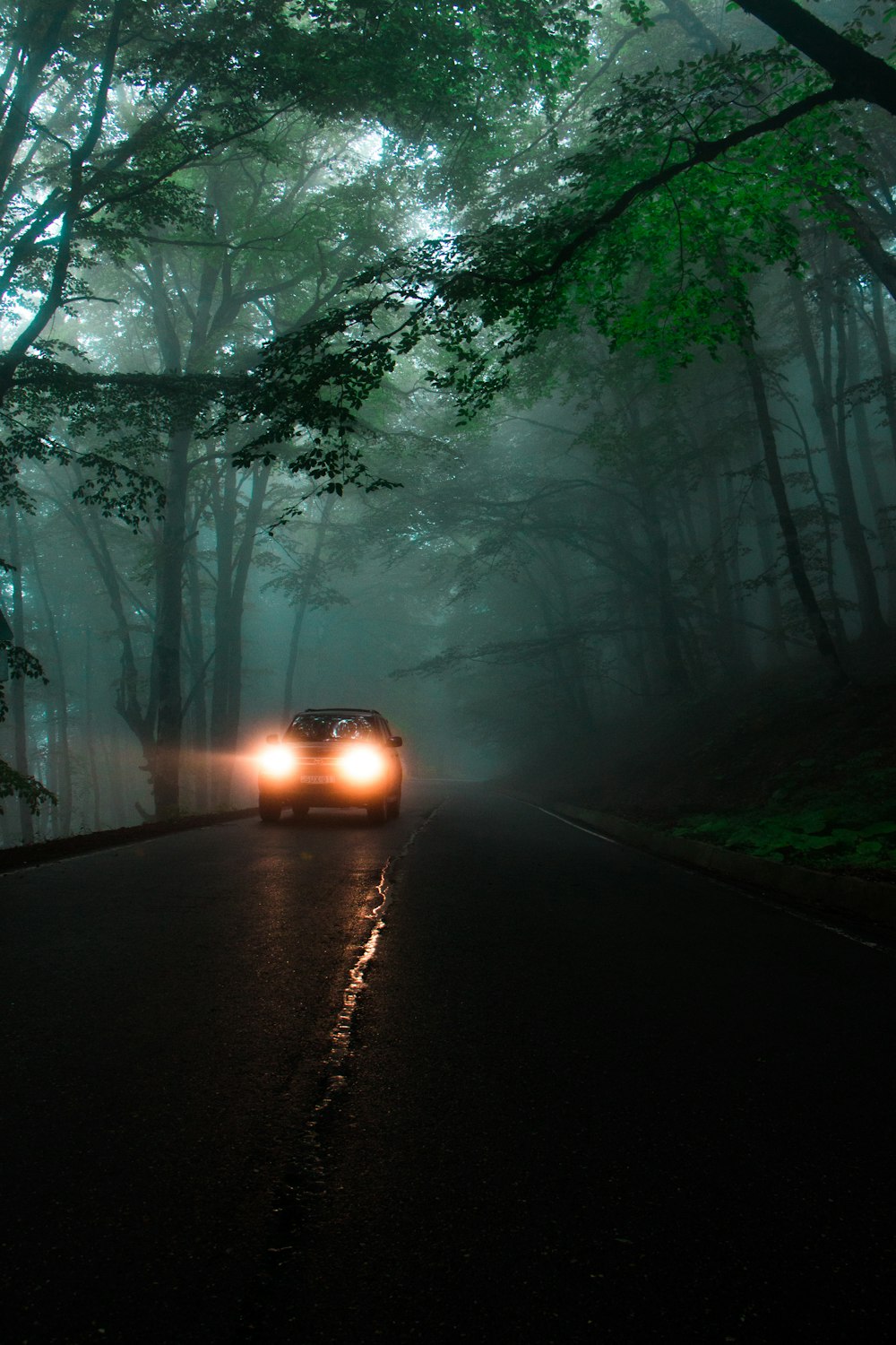 car running on road between trees during daytime