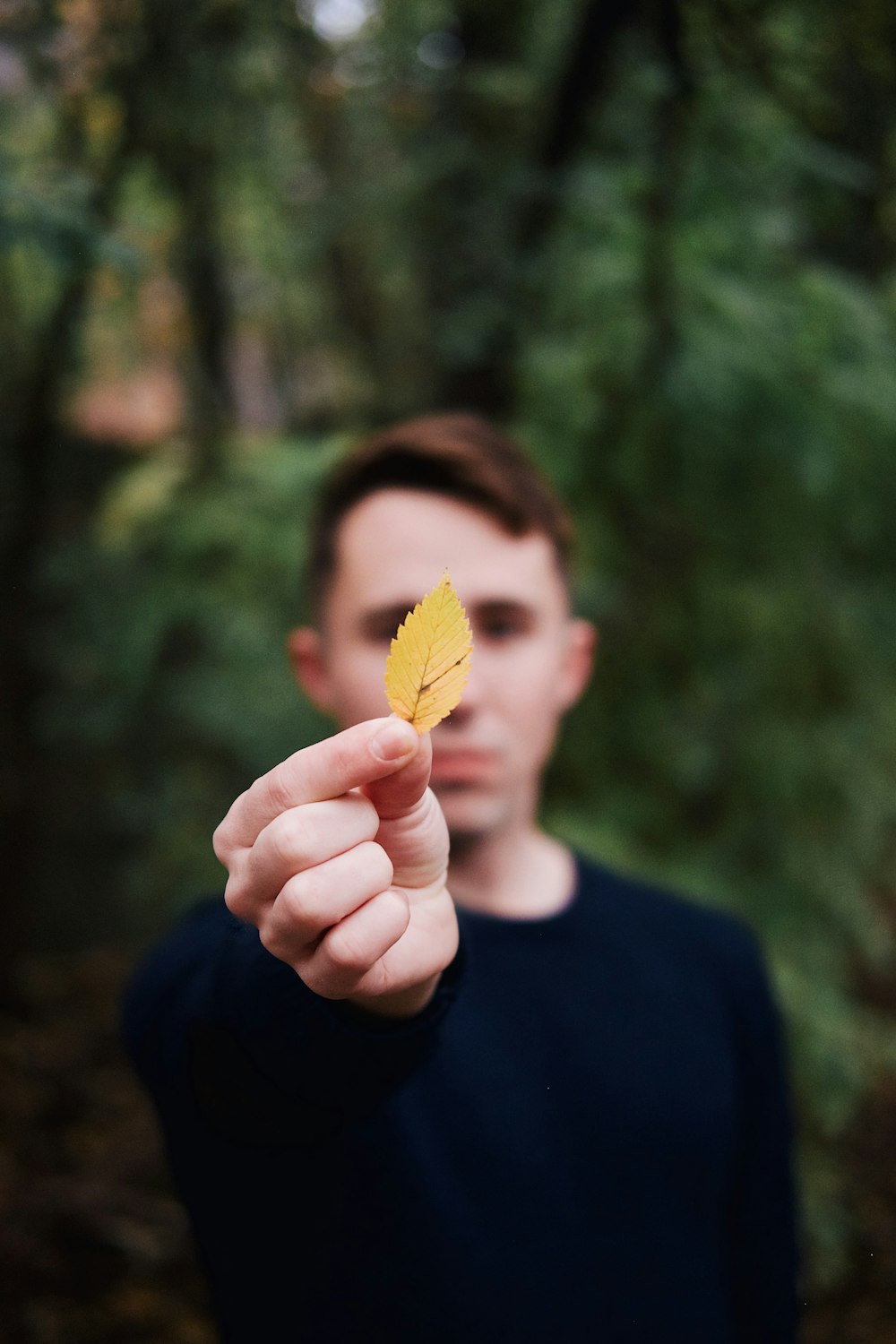 man holding yellow leaf