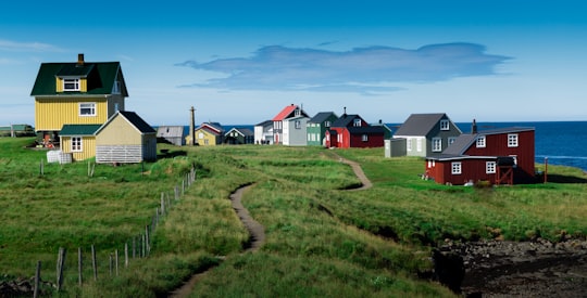 houses during daytime in Flatey Iceland