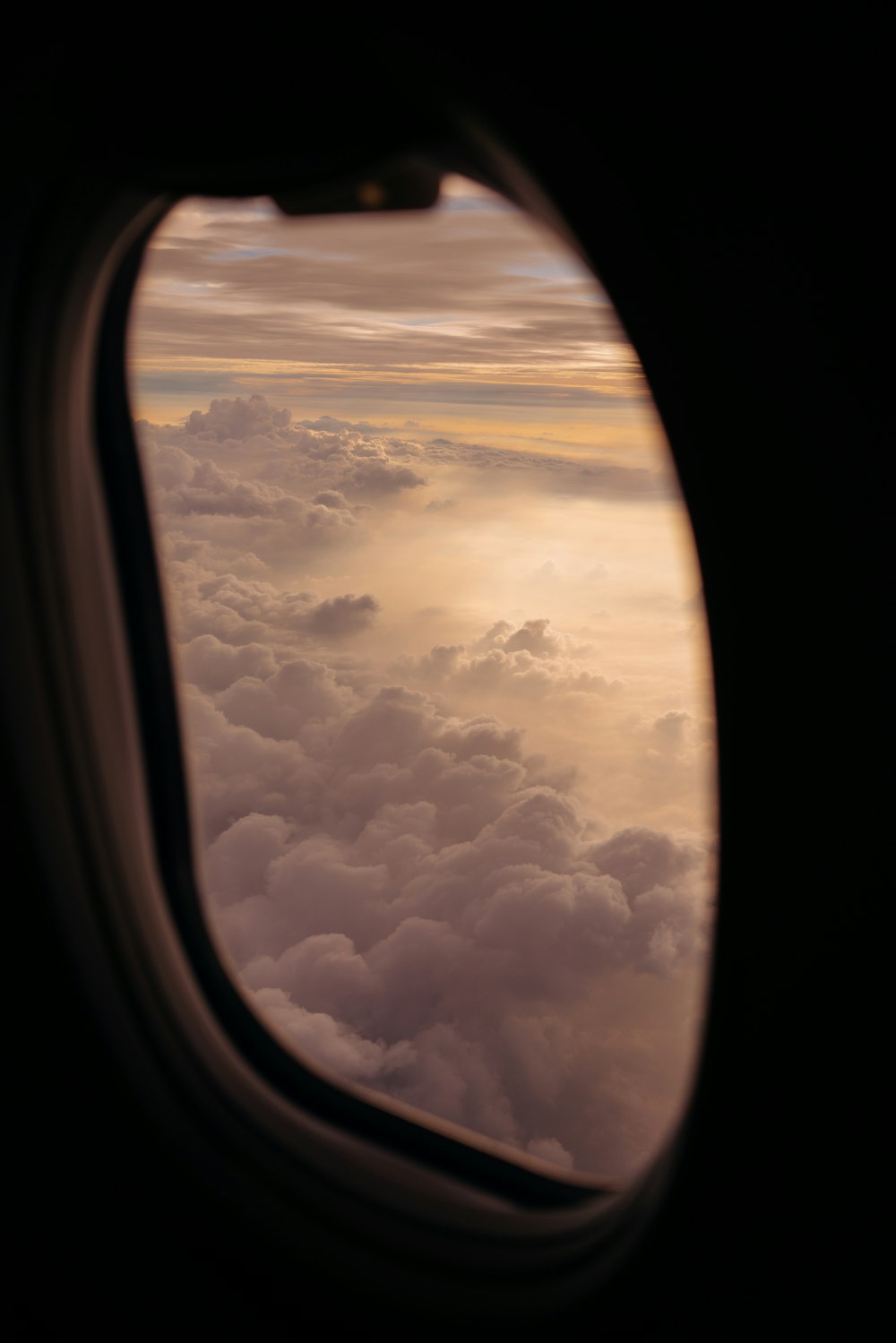 Fotografia della silhouette del finestrino dell'aereo