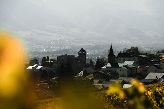 a view of a town from a hill
