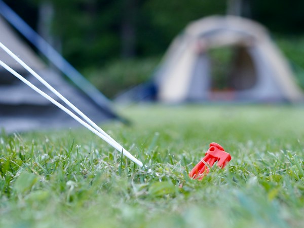 Red plastic tent stake in green grass with two taut white guylines running from it up to a tent, another tent blurred in the background